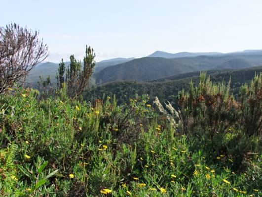 Ausblick beim Aufstieg