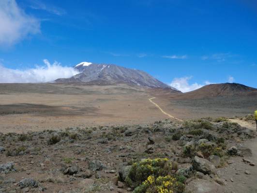 Unterwegs zur Kibo-Hütte