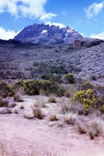 3.Tag: Mawenzi Londts Ridge