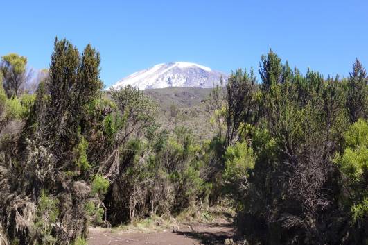 Abstieg im Mweka Camp