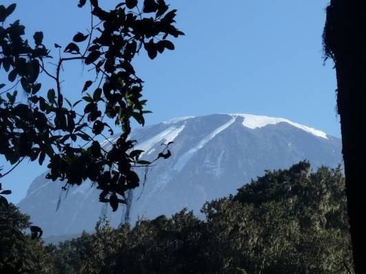 Auf dem Weg zum Mweka Gate