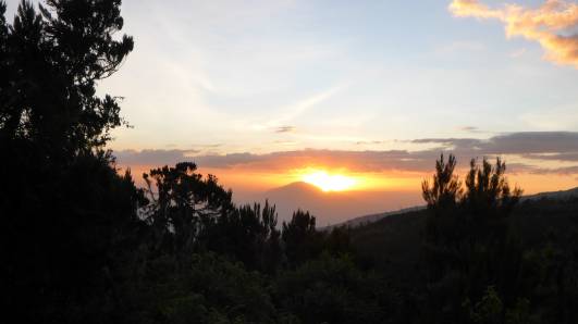 Machame Camp - Mt. Meru - Blick