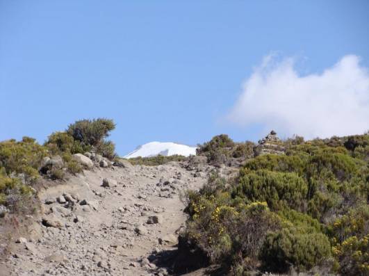 Letzter Blick zum Kibo