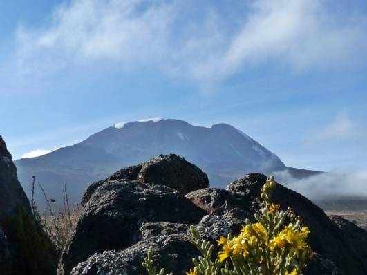 Klare Sicht auf den Kili