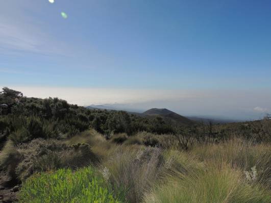 unterwegs zum Marangu Camp