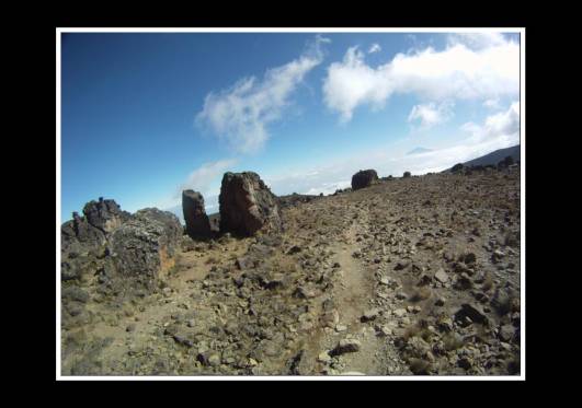 In der alpinen Steinwüste