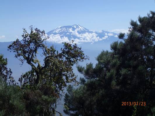 Blick zum Kili vom Mt. Meru (50km)