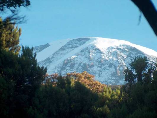 Vom Mweka Camp Blick zum Kibo