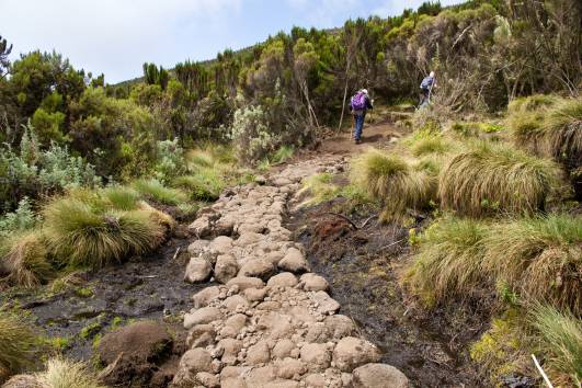 Aufstieg Moor-, Heidelandschaft