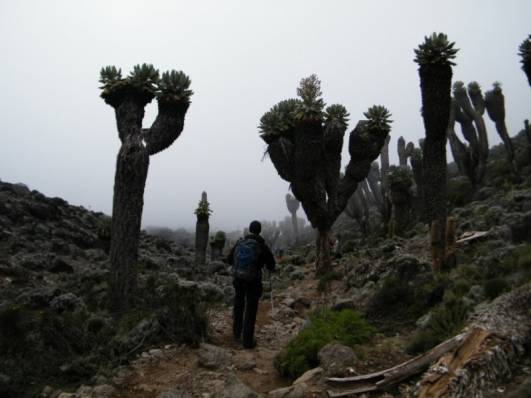 Kurz vorm Barranco Camp