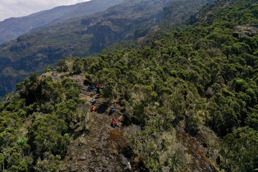 Weg von Umbwe Cave zum Barranco