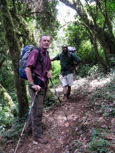 durch die Regenwaldzone (ohne Regen)