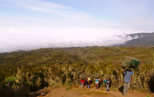 Träger bei schweißtreibender Arbeit