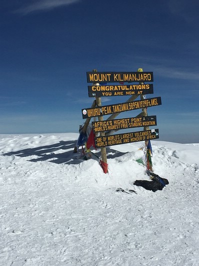 Gipfelschild im Schnee