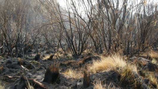 Verbrannte Landschaft nach Mandara