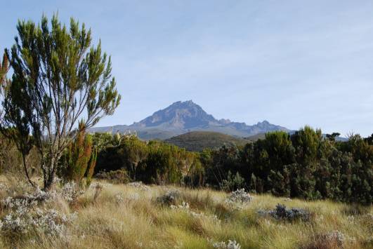 Blick zum Mawenzi (22.05.13)