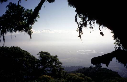 Kili vom Mt. Meru, Momella Seen