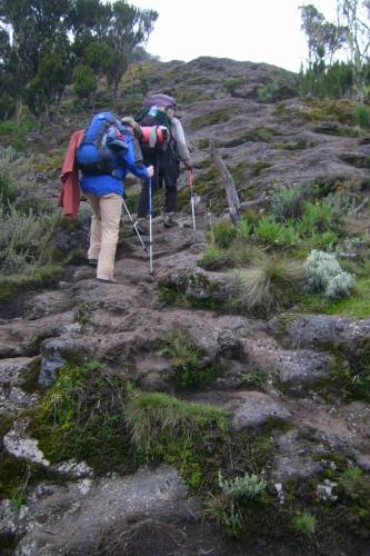 Machamecamp-Shiracamp