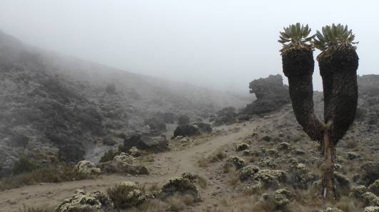 110904 Weg oberhalb Barranco Wall