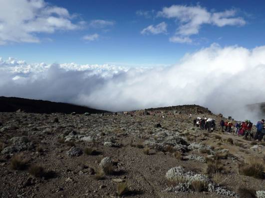 Aufbruch der Massen im Karanga Camp
