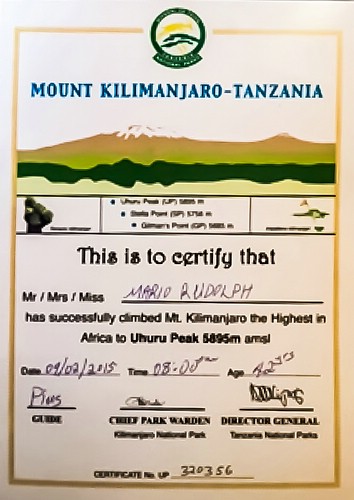 Zertifikat No. 320356