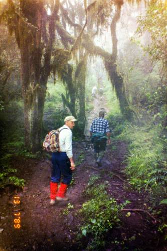 1.Tag: Aufstieg im Regenwald