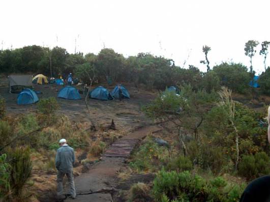 Im Machame Camp