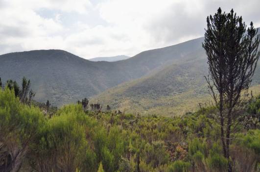 In der Übergangszone