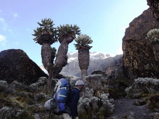Kibo bei  Aufstieg durch Breakfast
