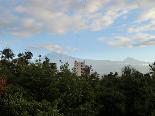 Der Kili von Moshi aus gesehen