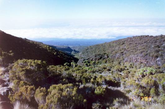 6.Tag: Abstieg nach Mandara