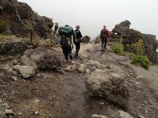 In der Barranco Wall