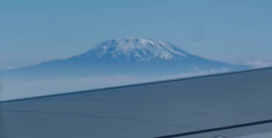 Das Objekt der Begierde