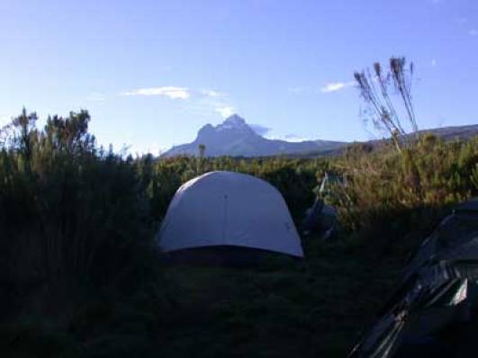 Blick auf den Mawenzi