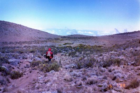 3.Tag: Rückmarsch nach Horombo