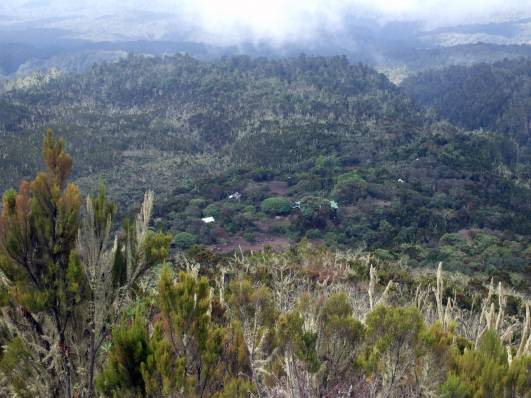 Blick auf's Machame Camp