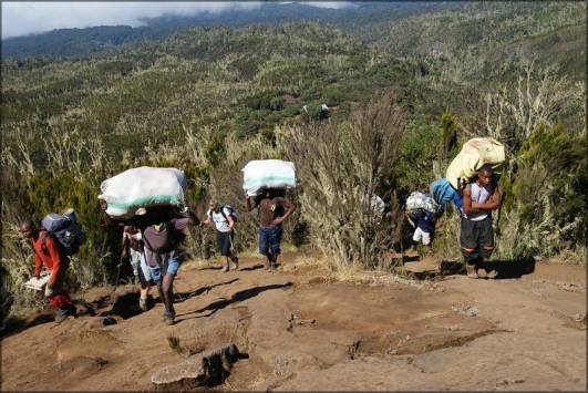 Porter auf dem Track