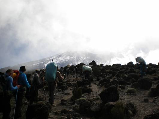 Mt.Kilimanjaro - Zum Lava Tower