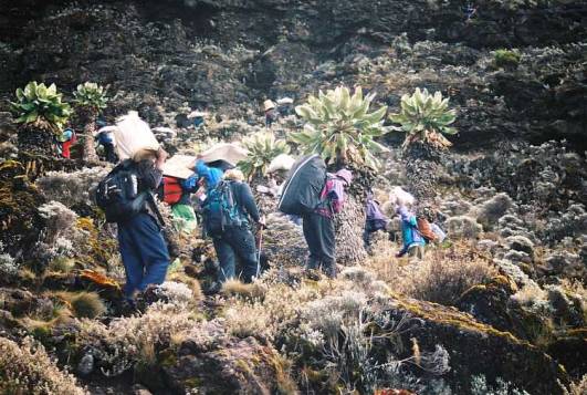 In der Barranco Wall