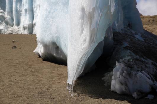Furtwängler mit schmelzendem Fuß