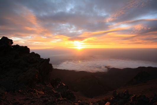 Kili im Sonnenaufgang