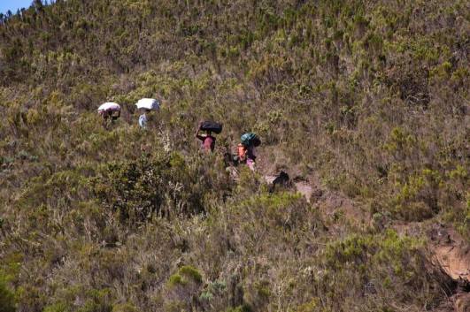 Von Big Tree nach Simba Cave