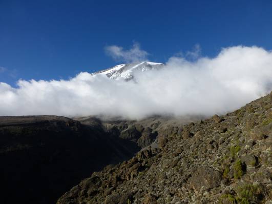 Tag 4 - Kibo vom Karanga Camp