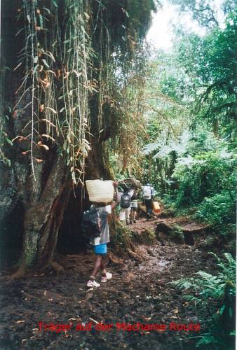 Träger auf der Machame Route