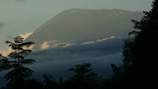 Blick vom Marangu Hotel auf den Kili