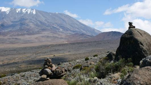 Kili von den Zebra Rocks aus