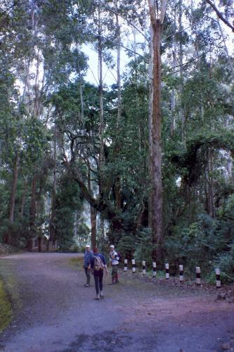 6.Tag: Zurück am Marangu Gate