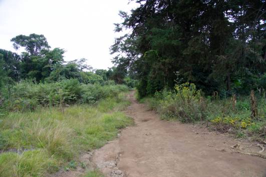 1. Tag - Rongai Trail