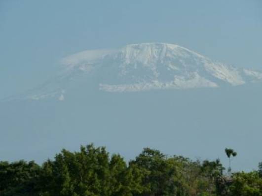 Am Tag dannach: Kibo mit Schnee(massen)