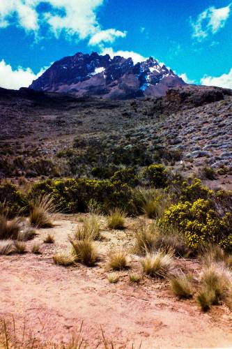 3.Tag: Mawenzi Londts Ridge